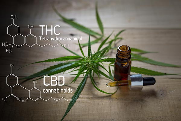 similarities-between-THC-and-CBD