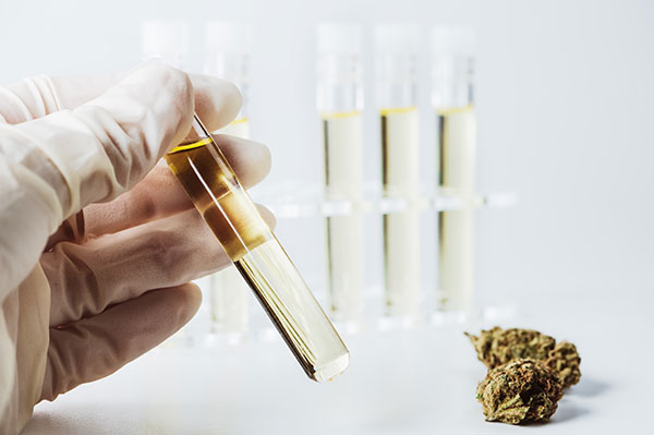 How CBD Could Cause You to Fail a Drug Test