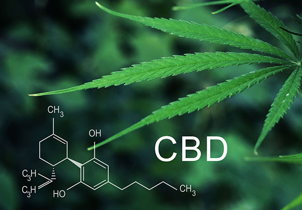 what is cbd